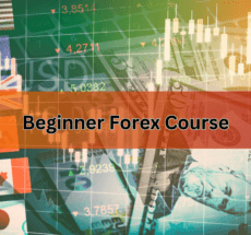 Learning Power Forex Trading basic course
