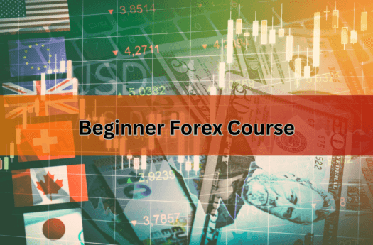 Learning Power Forex Trading basic course